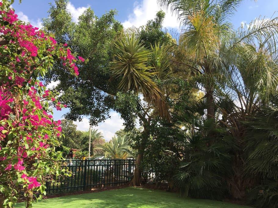 Pool & Garden Rehovot Exterior photo